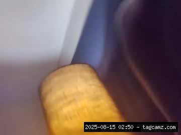 chaturbate daddylongdick308407