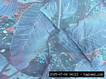 chaturbate guadalupe21_