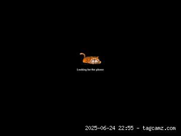 webchatter99 chaturbate